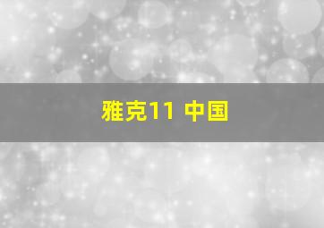 雅克11 中国